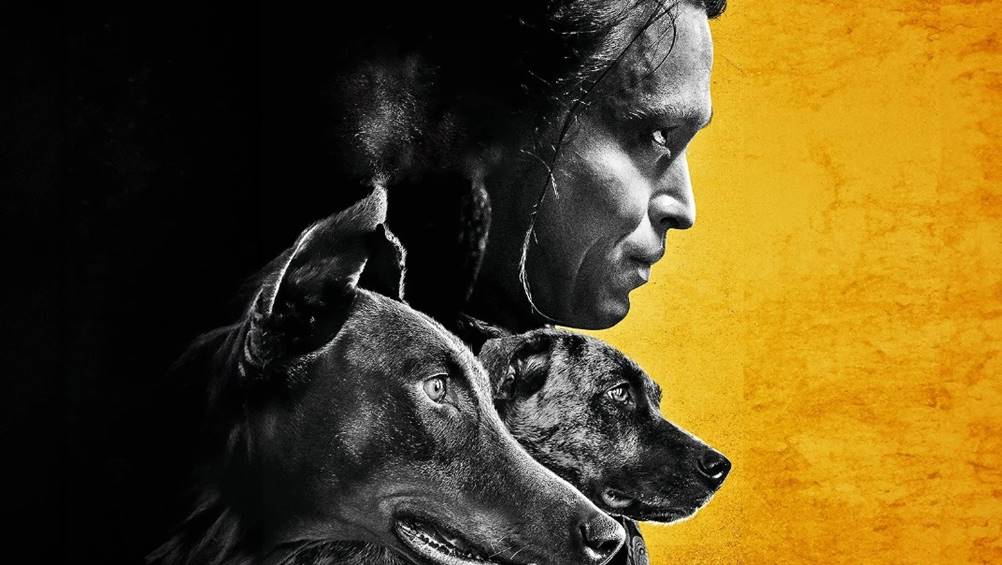 Dogman: enredo, elenco, onde assistir online