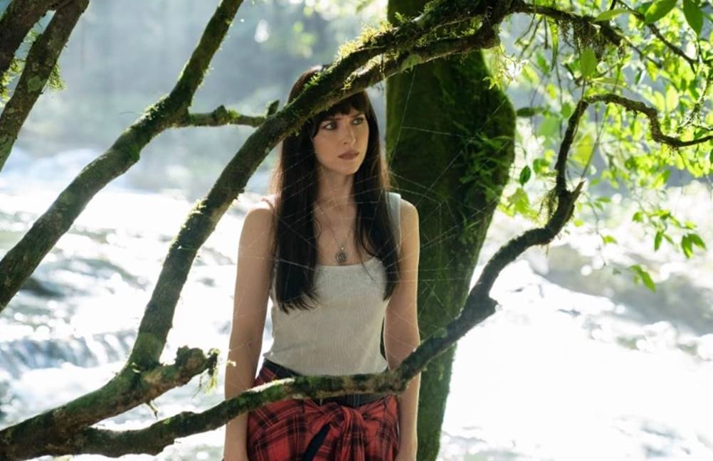 Madame Teia - enredo, elenco e onde assistir online