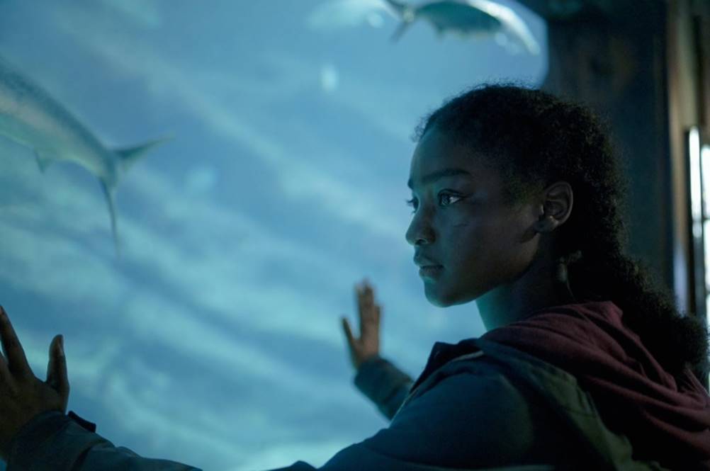 Assista a série O PODER online no YOUCINE