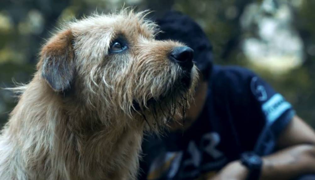 Uma Prova de Coragem - enredo e elenco do filme