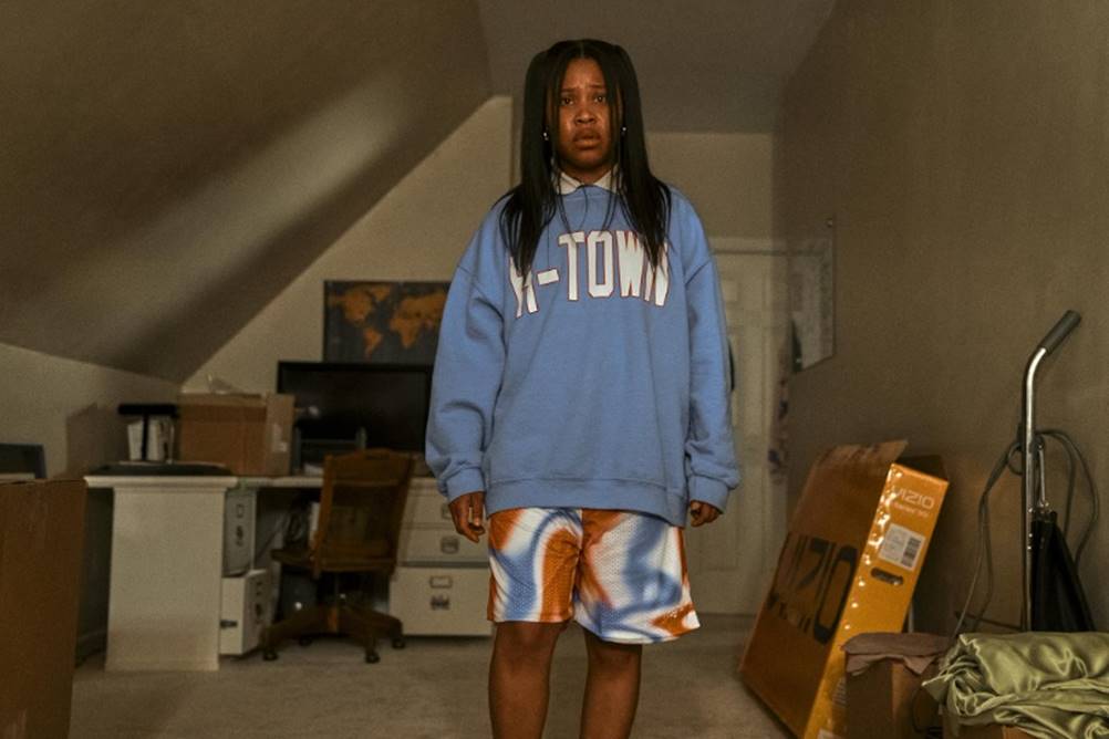 Enxame - até onde chega uma obsessão de uma fã