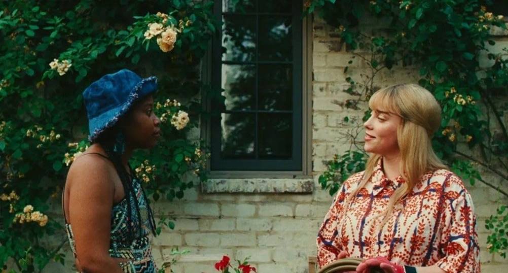 Enxame - enredo, elenco e onde assistir