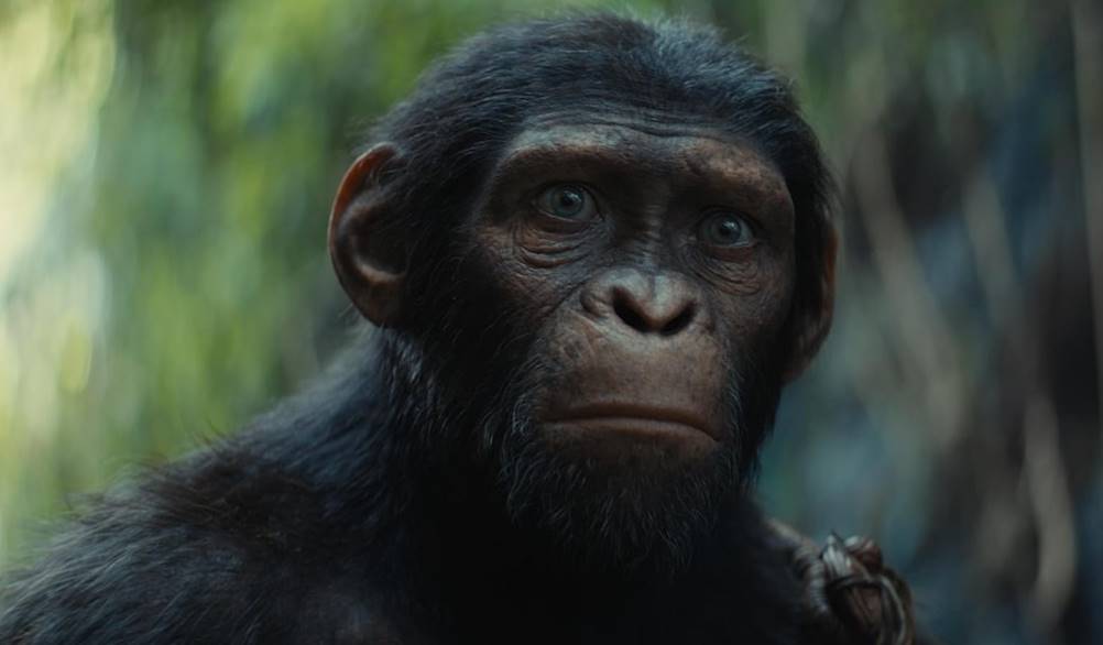 Planeta dos Macacos - O Reinado - A saga continua