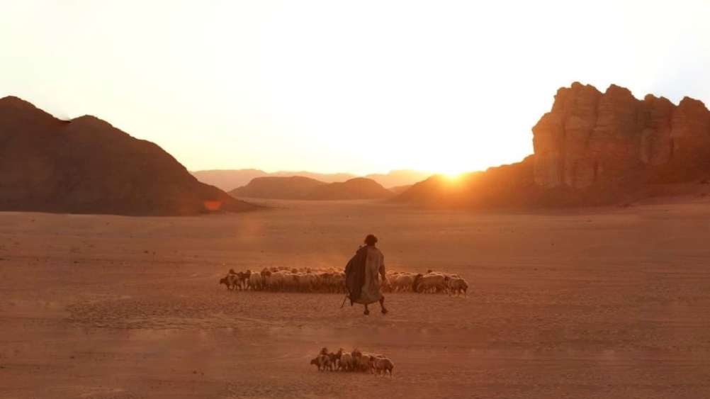 Aadujeevitham - Assista online no seu YouCine