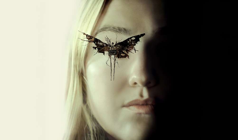 Os Observadores - suspense e terror que vai dominar você