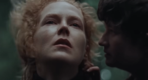 Armadilha para Coelhos