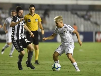 Brasileiro 35ª rodada - BOTAFOGO E SANTOS