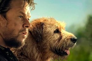 Uma Prova de Coragem - enredo, elenco, onde assistir online