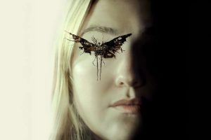 Os Observadores - suspense e terror que vai dominar você